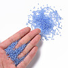 12/0 Glass Seed Beads SEED-A006-2mm-106-4
