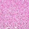 6/0 Baking Paint Transparent Fringe Glass Seed Beads X1-SEED-N006-06G-3