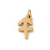 304 Stainless Steel Charms STAS-R001-04G-09-1