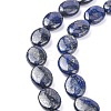 Natural Lapis Lazuli Beads Strands G-K311-01C-04-4