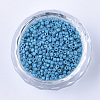 Glass Cylinder Beads SEED-Q036-01A-D06-2