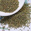 MIYUKI Delica Beads SEED-X0054-DB0508-1
