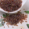 MIYUKI Delica Beads SEED-X0054-DB0170-1