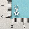 925 Sterling Silver Charms STER-G035-01C-03-3