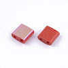 FGB 2-Hole Glass Seed Beads SEED-S031-L-045-R-2