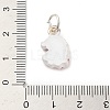 Christmas Themes Alloy Enamel Pendants LS-FIND-I063-01C-3