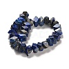 Natural Lapis Lazuli Beads Strands G-N327-05-13-3