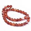 Natural Striped Agate/Banded Agate Beads Strands G-I261-C03-10mm-2