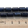 Natural Lapis Lazuli Beads Strands G-M420-E02-03-5