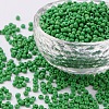 8/0 Glass Seed Beads SEED-US0003-3mm-47-1
