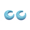 Synthetic Turquoise Beads G-E514-05A-2