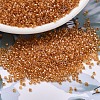 MIYUKI Delica Beads SEED-J020-DB1702-1