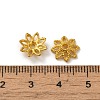Alloy Beads Caps FIND-G074-01C-3