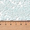 Opaque Colours Luster Glass Seed Beads SEED-B001-01A-02-4