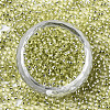 Glass Seed Beads SEED-S042-04A-02-2