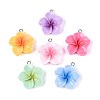 Opaque Resin Pendants RESI-T056-03A-1