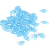 5Pcs Transparent Glass Beads X-GLAA-PW0001-25L-1