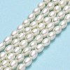 Natural Cultured Freshwater Pearl Beads Strands PEAR-J006-15A-01-2