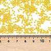 MIYUKI Delica Beads SEED-X0054-DB2284-3