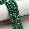 Natural Malachite Beads Strands G-A271-A01-6mm-1