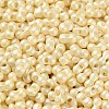 Glass Seed Beads SEED-L011-04A-09-3