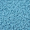 MIYUKI Delica Beads SEED-MY11-DB2128-3