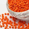 (Repacking Service Available) Glass Seed Beads SEED-C019-4mm-50-1