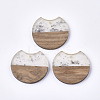 Resin & Walnut Wood Pendants RESI-T023-11I-1