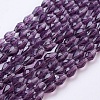 Glass Beads Strands X-GLAA-R024-6x4mm-2-1