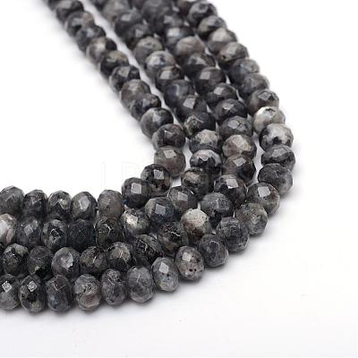 Faceted Rondelle Dyed Natural Sesame Jasper/Kiwi Jasper Bead Strands G-R343-6x8-20-1