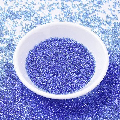 MIYUKI Delica Beads SEED-X0054-DB1250-1