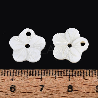 Natural Freshwater Shell Buttons SHEL-N038-11-1