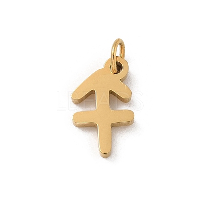 304 Stainless Steel Charms STAS-R001-04G-09-1