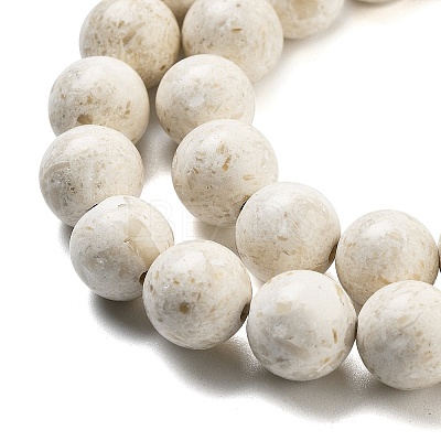 Natural Fossil Beads Strands G-H026-02D-1