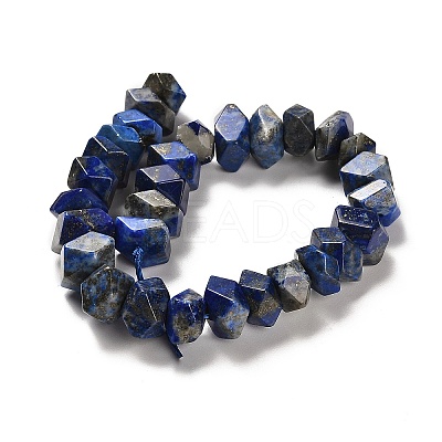 Natural Lapis Lazuli Beads Strands G-N327-05-13-1