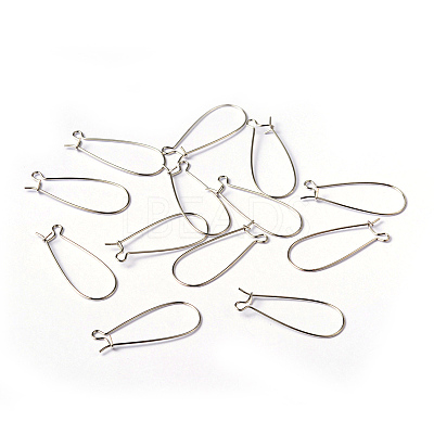Brass Hoop Earring Wires Hook Earring Making Findings X-EC221-1