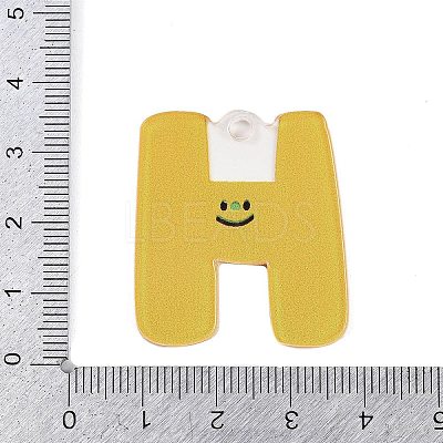 Acrylic Pendants MACR-R002-01H-1