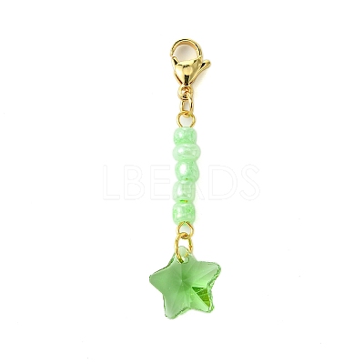 Star Glass & Seed Beads Pendant Decoration HJEW-JM02111-1