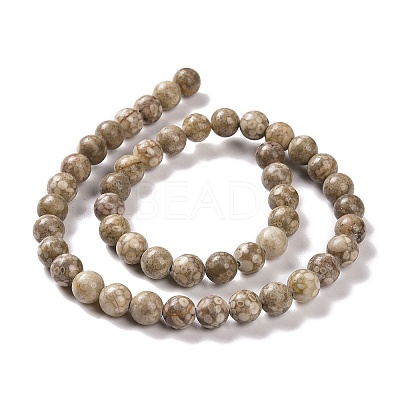 Natural Maifanite/Maifan Stone Beads Strands X-G-I187-6mm-01-1