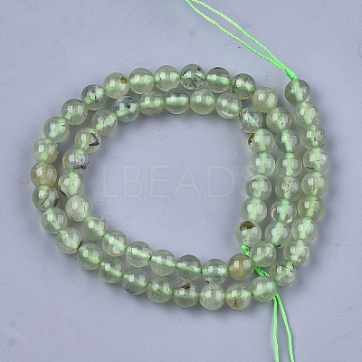Natural Prehnite Beads Strands X-G-S333-6mm-032-1