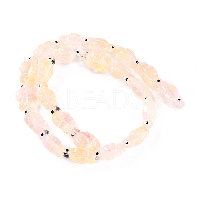 Transparent Glass Enamel Beads Strands GLAA-B021-06K-1
