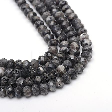 Faceted Rondelle Dyed Natural Sesame Jasper/Kiwi Jasper Bead Strands G-R343-6x8-20-1