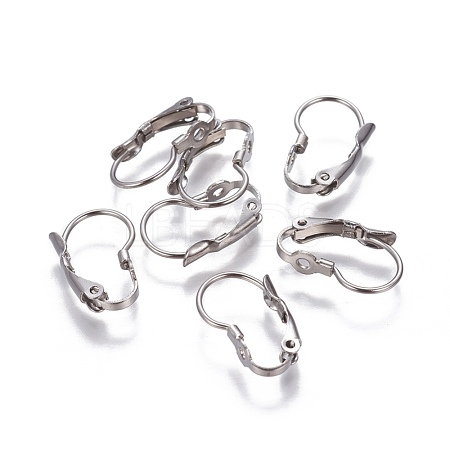 Tarnish Resistant 304 Stainless Steel Leverback Earrings Findings STAS-P239-20P-1