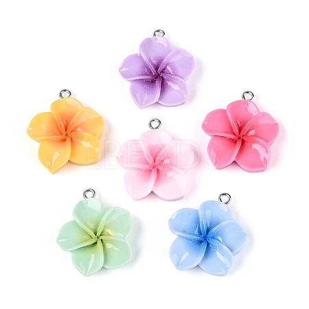 Opaque Resin Pendants RESI-T056-03A-1