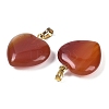 Dyed & Heated Natural Carnelian Pendants G-G956-B52-G-2