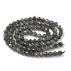 Natural Labradorite Beads Strands G-L622-C03-4mm-3