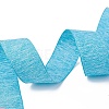 Polyester Ribbons SRIB-L051-25mm-C007-3
