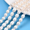 Natural Cultured Freshwater Pearl Beads Strands X-PEAR-L001-C-03-6