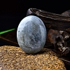 Natural Labradorite Oval Palm Stone Massager PW-WG63539-14-1