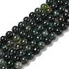 Natural Moss Agate Beads Strands G-A248-A02-01-2